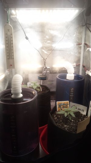 18.03.23 (2).jpg 18.03.23 (2).jpg