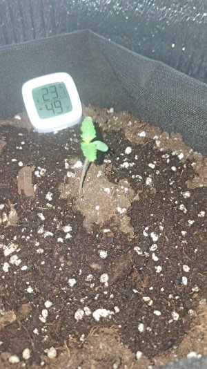 IMG_2023_03_22_17_05_04_211920183583636062588.jpg IMG_2023_03_22_17_05_04_211920183583636062588.jpg