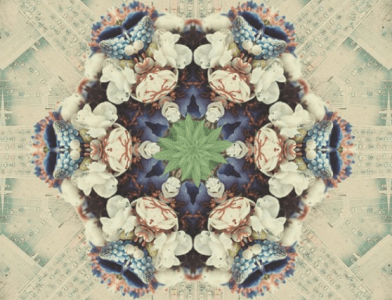 1679755471380.png 1679755471380.png