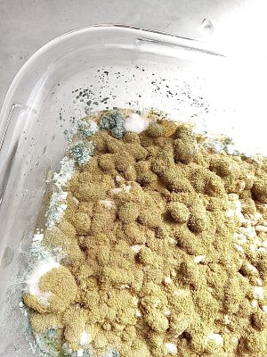 mir_20230325_132549.jpg mir_20230325_132549.jpg