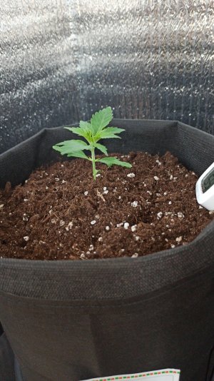 IMG_2023_03_28_15_03_51_8463765482712523222331.jpg IMG_2023_03_28_15_03_51_8463765482712523222331.jpg