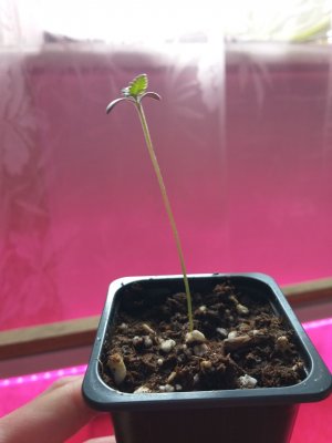 photo_5287305969639998902_y.jpg photo_5287305969639998902_y.jpg