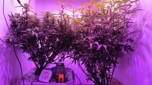 1 (10).jpg 1 (10).jpg