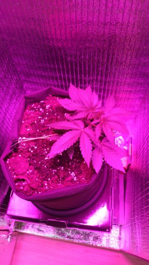 IMG_2023_04_05_15_52_49_6055372894989307200314.jpg IMG_2023_04_05_15_52_49_6055372894989307200314.jpg