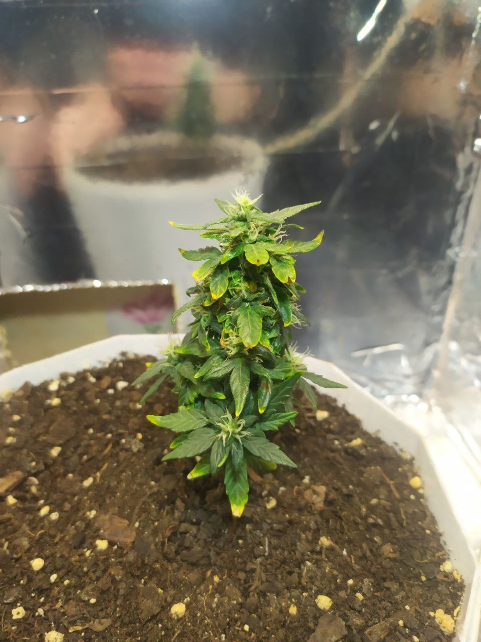 photo_2023-04-06_15-14-17 (5).jpg