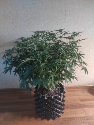 2023-04-09-16-30-05-393.jpg 2023-04-09-16-30-05-393.jpg