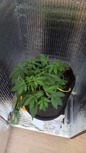 IMG_2023_04_11_15_22_17_6804327651579067527652.jpg IMG_2023_04_11_15_22_17_6804327651579067527652.jpg