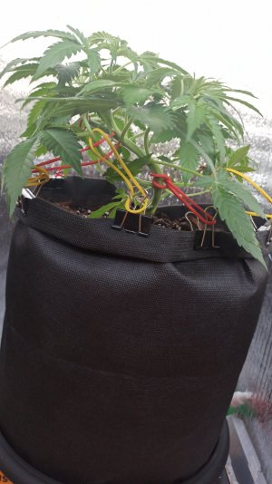 IMG_2023_04_11_15_22_42_587871280920436405502.jpg IMG_2023_04_11_15_22_42_587871280920436405502.jpg