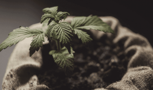 1681327736455.png 1681327736455.png