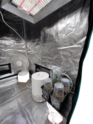 Без имени-3.png