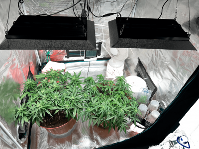 Без имени-4.png