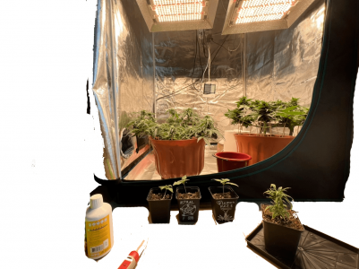 Без имени-5.png