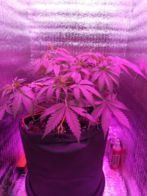 IMG_20230415_141144.jpg IMG_20230415_141144.jpg