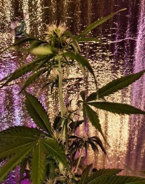 20211010_160120.jpg 20211010_160120.jpg