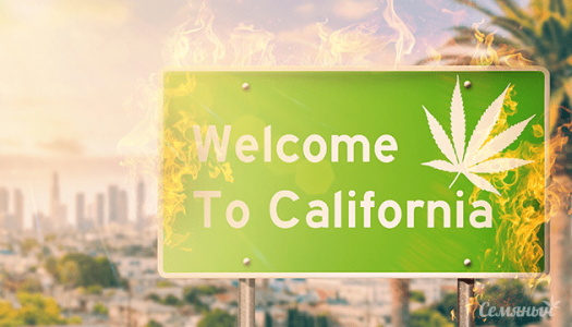 1636790776490.png 1636790776490.png