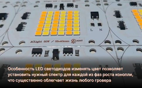 Сравнение LED и COB LED