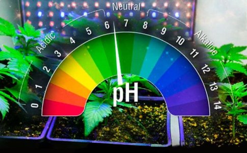 Питательная смесь для гидропоники