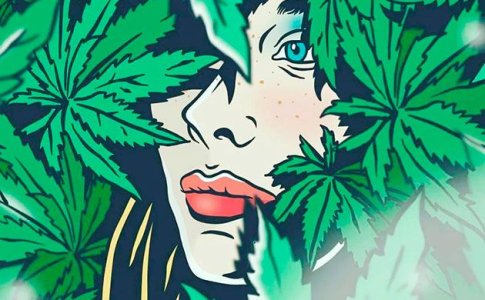 Скрытое выращивание конопли в аутдоре Скрытое выращивание конопли в аутдоре