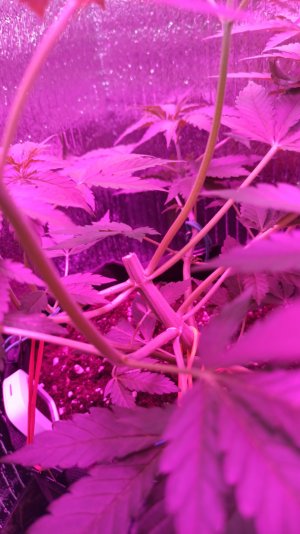 IMG_2023_04_17_17_12_16_8353321689746660955260.jpg IMG_2023_04_17_17_12_16_8353321689746660955260.jpg