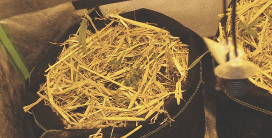 1681904595997.png 1681904595997.png