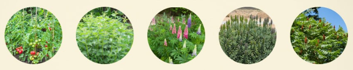 1682009714183.png 1682009714183.png