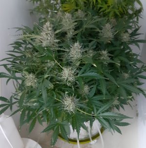 20230421_123452.jpg 20230421_123452.jpg