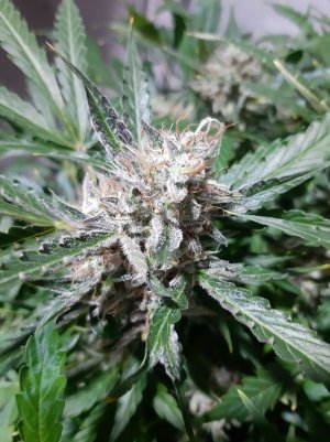 20230421_124400.jpg 20230421_124400.jpg