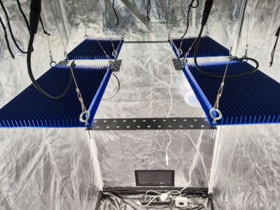 IMG_20230419_180234.jpg IMG_20230419_180234.jpg