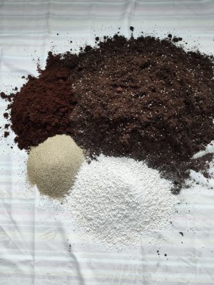 IMG_20230420_180737.jpg IMG_20230420_180737.jpg