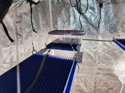 IMG_20230421_181508.jpg IMG_20230421_181508.jpg