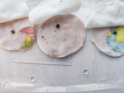 IMG_20230422_115916.jpg IMG_20230422_115916.jpg