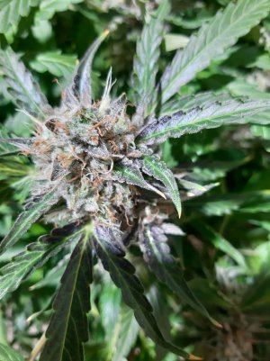 20230422_203933.jpg 20230422_203933.jpg