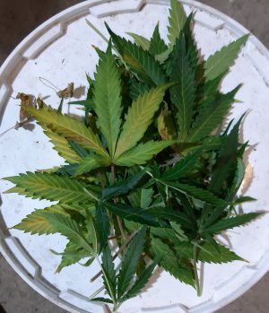 20230422_203800.jpg 20230422_203800.jpg