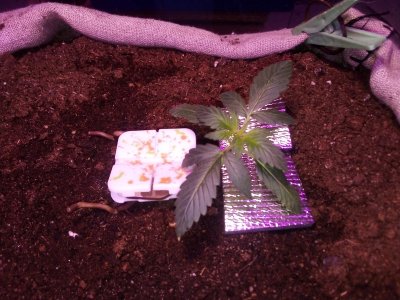 IMG_20230425_113817.jpg IMG_20230425_113817.jpg