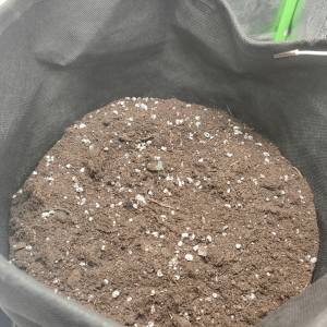 1682435722989.png 1682435722989.png