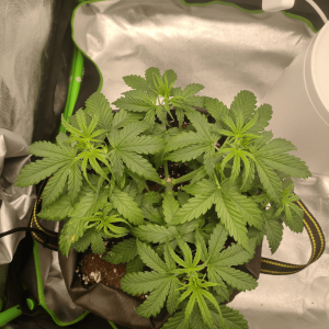 1682436576245.png 1682436576245.png