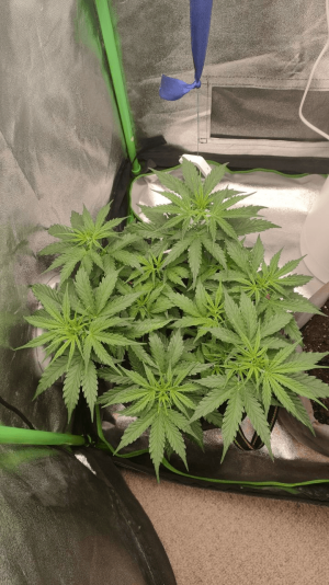 1682436867985.png 1682436867985.png