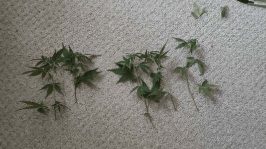 1682437583157.png 1682437583157.png