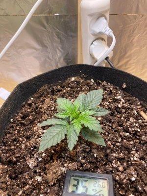 CJUjACb7ih4.jpg CJUjACb7ih4.jpg