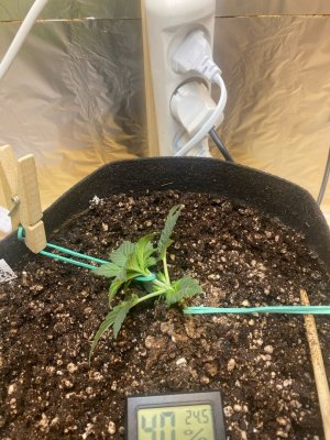 Q0L0f2h4BoI.jpg Q0L0f2h4BoI.jpg