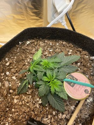 Qi3-StFUZFo.jpg Qi3-StFUZFo.jpg