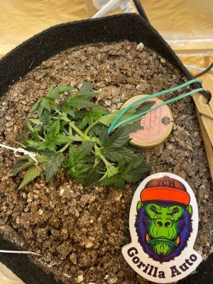 VNKhqFvDAfc.jpg VNKhqFvDAfc.jpg