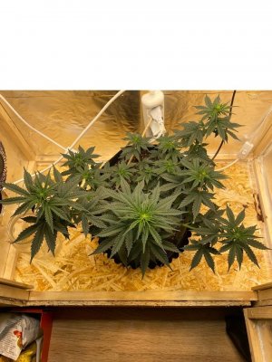 e295MRcW6fc.jpg e295MRcW6fc.jpg