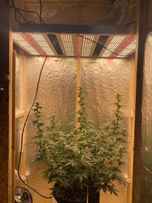 Z-dFB43Vx_w.jpg Z-dFB43Vx_w.jpg