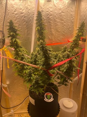 wVgD3vPpEmo.jpg wVgD3vPpEmo.jpg