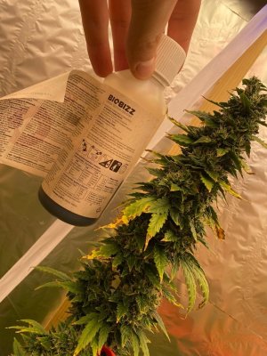 WryCm4wOhfs.jpg WryCm4wOhfs.jpg