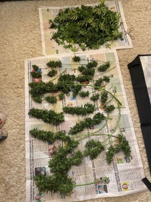 lY7sduwbXrY.jpg lY7sduwbXrY.jpg