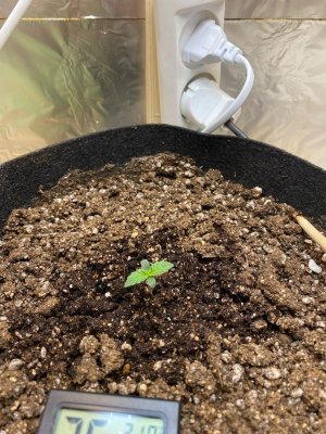 Jo-FrMkbHAg.jpg Jo-FrMkbHAg.jpg