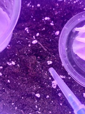 20230427_153614.jpg 20230427_153614.jpg