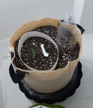 20230428_203644.jpg 20230428_203644.jpg